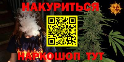 гашик Будённовск