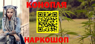 гашик Будённовск
