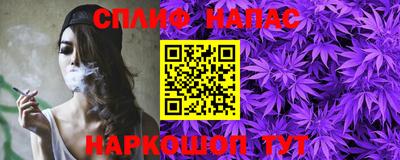 гашик Будённовск