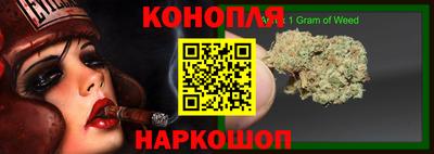 гашик Будённовск